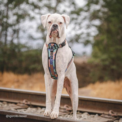 Gumball Chest Plate - Gumball