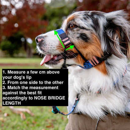 Evergreen Halter - Evergreen