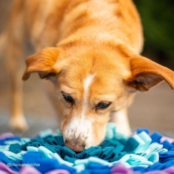 Iris Bloom Snuffle Mat