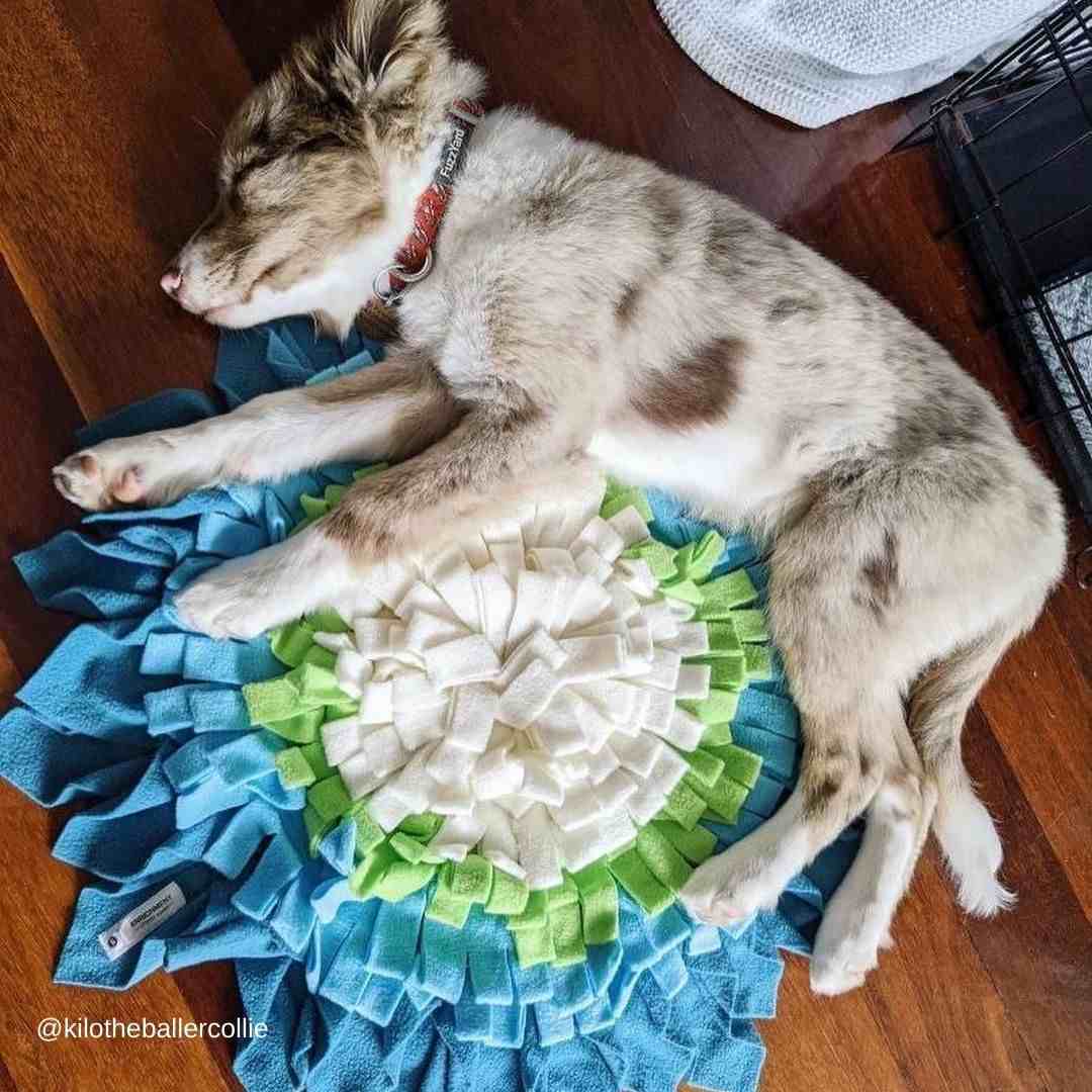 Forget-Me-Nots Snuffle Mat