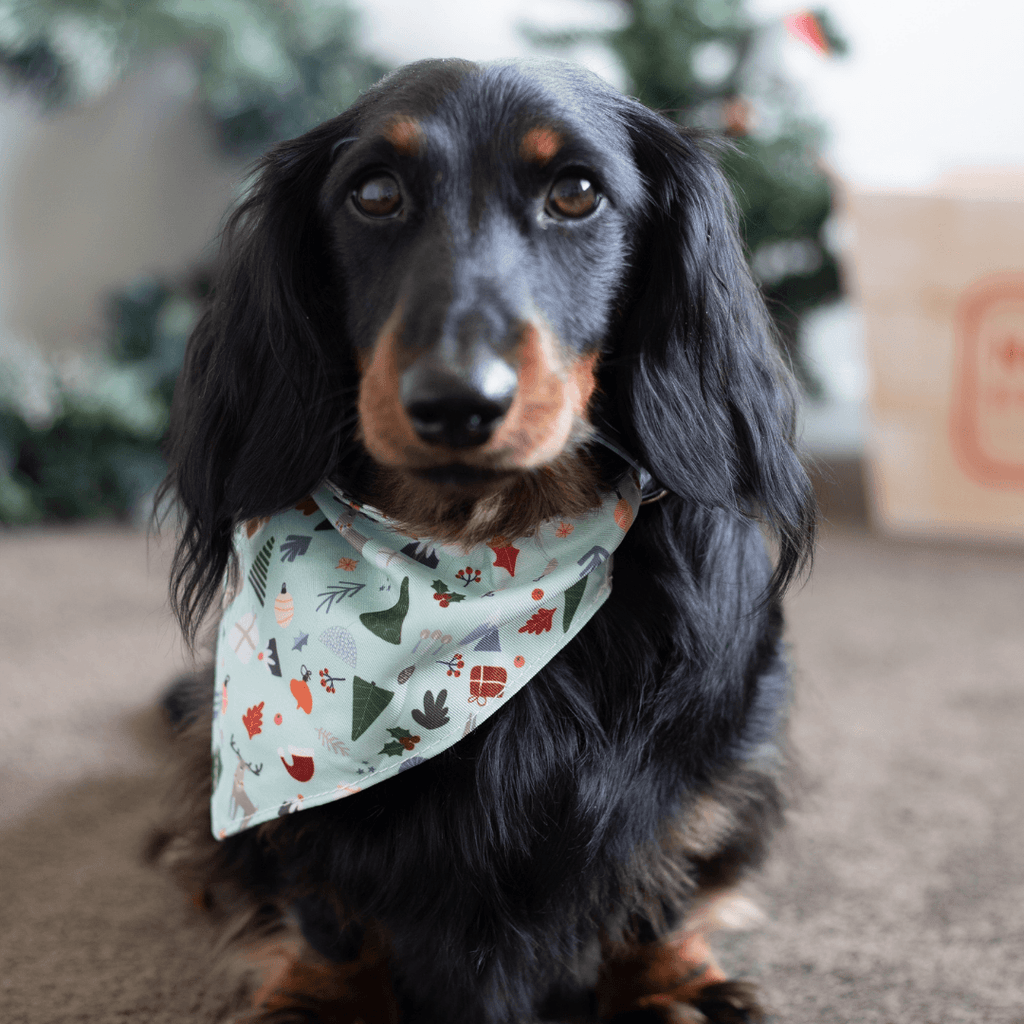 Reindeer Reversible Christmas Bandana