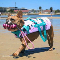 Tropical Dog Swim Jacket