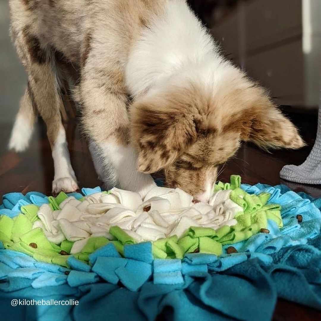 Forget-Me-Nots Snuffle Mat