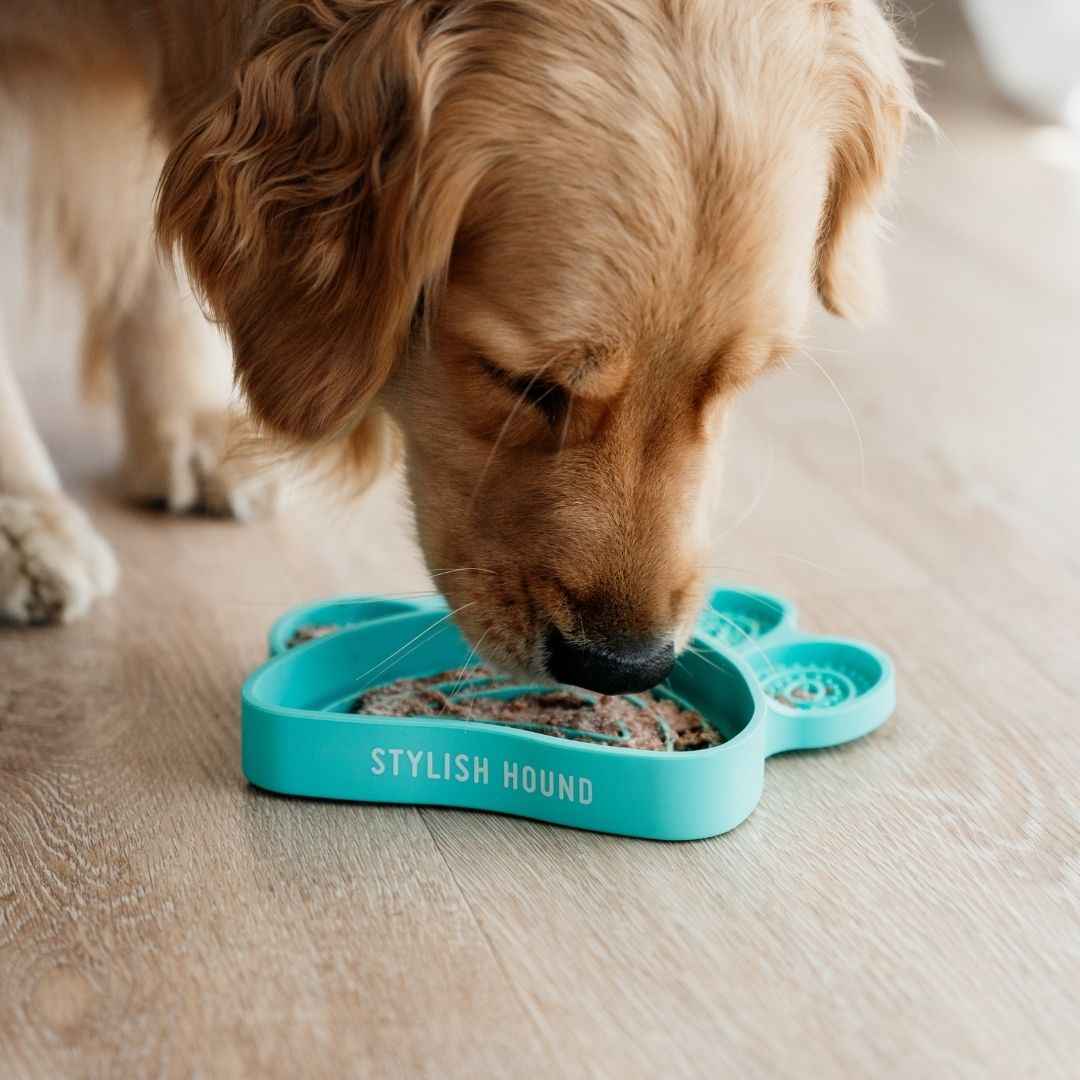 2in1 Lick Bowl Slow Feeder