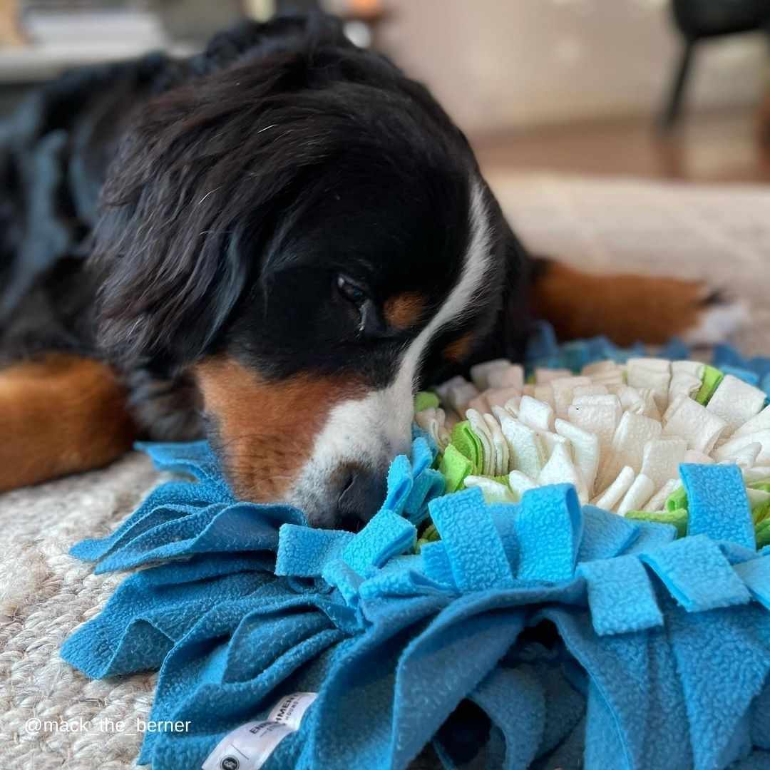 Forget-Me-Nots Snuffle Mat