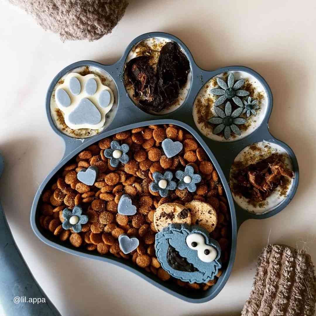 2in1 Lick Bowl Slow Feeder