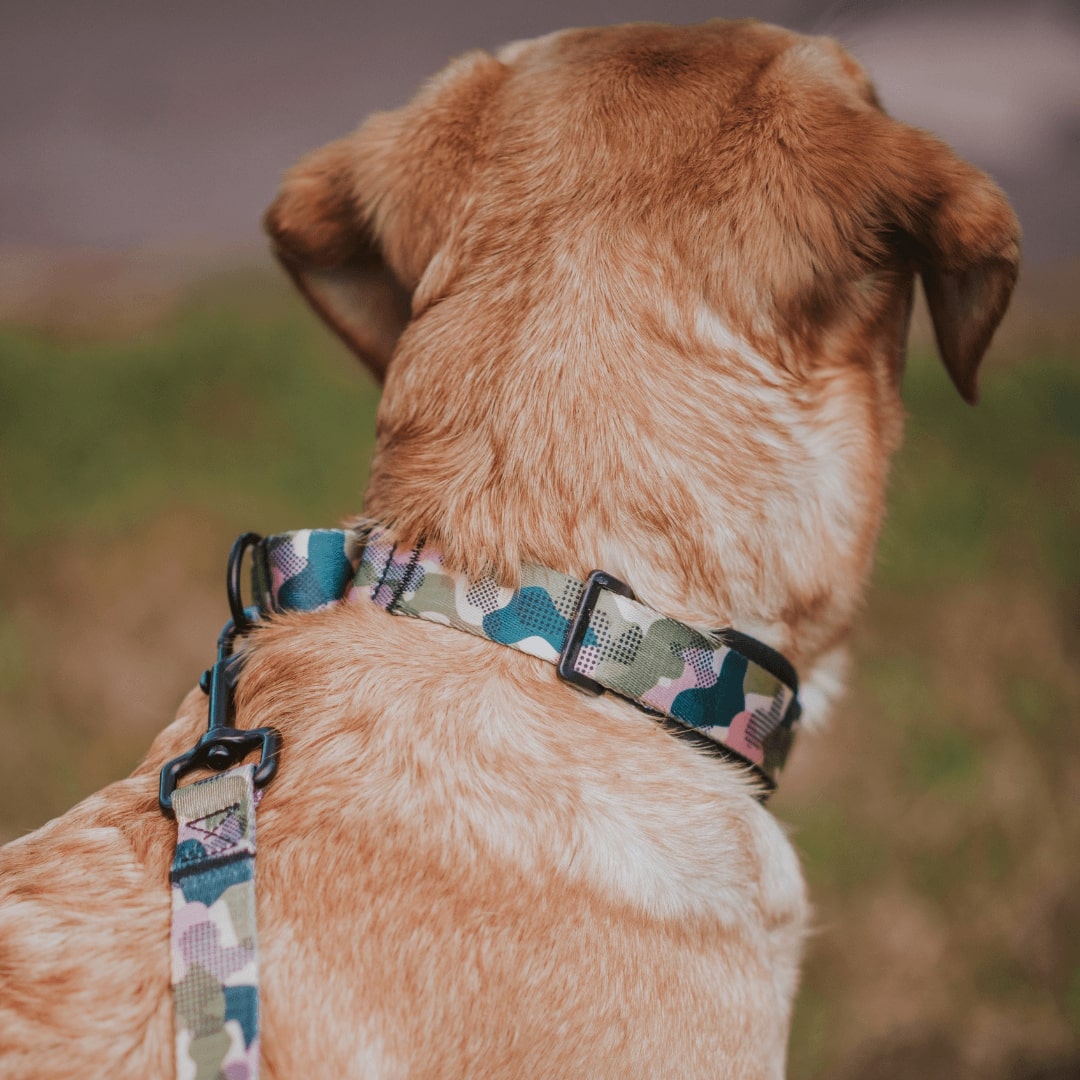 On Duty Martingale - On Duty