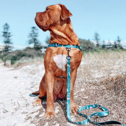 Nova OG No-Pull Training Harness - Nova