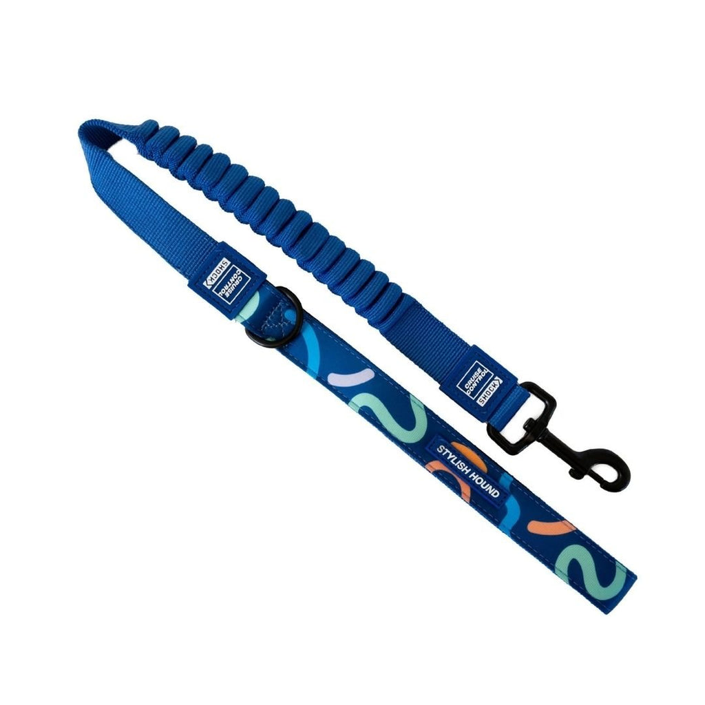 Astro Cruise Control Obedience Leash