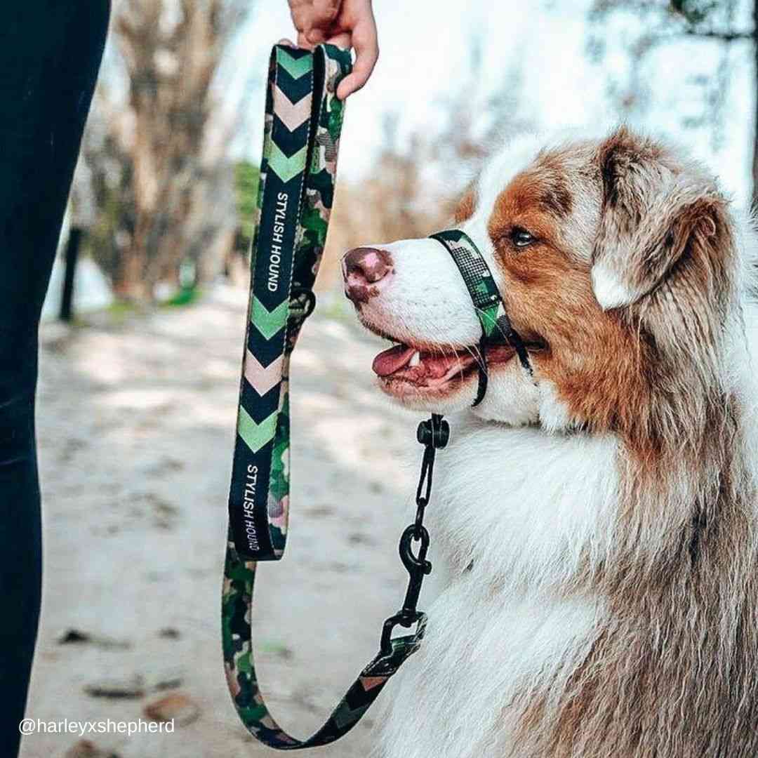 On Duty Leash