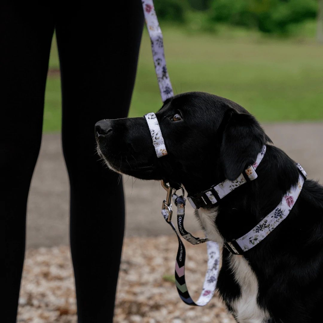 Evergreen Halter - Evergreen