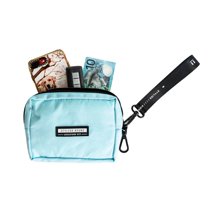 Baby Blue Express Pouch