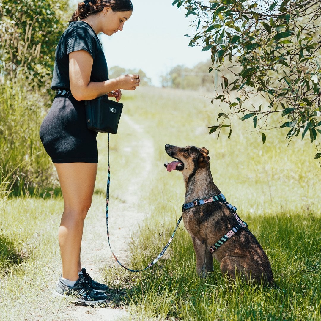 OG Training Treat Pouch