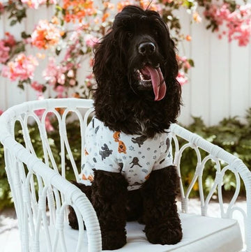 Spaniel Dog Tee PJ