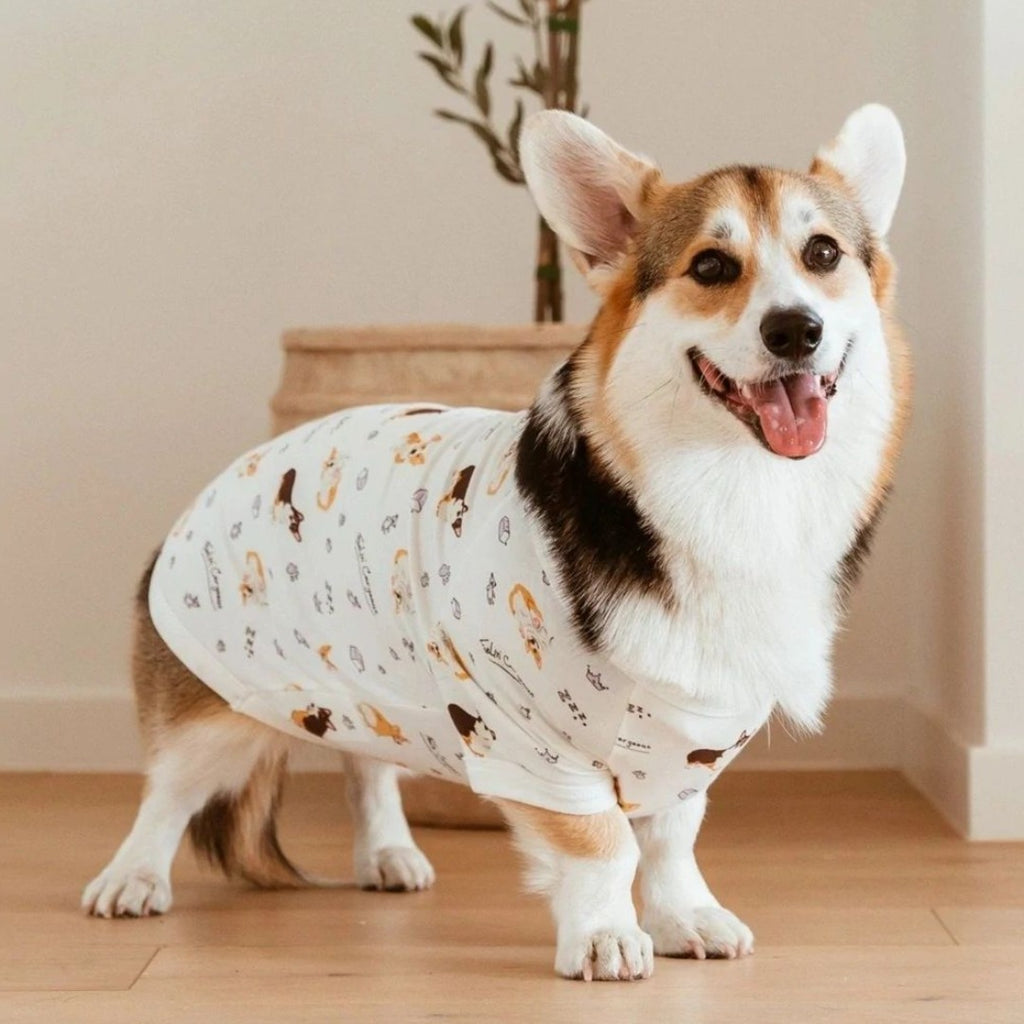 Corgi Dog Tee PJ