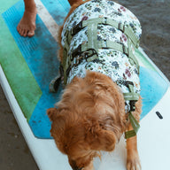 Evergreen Dog Swim Jacket