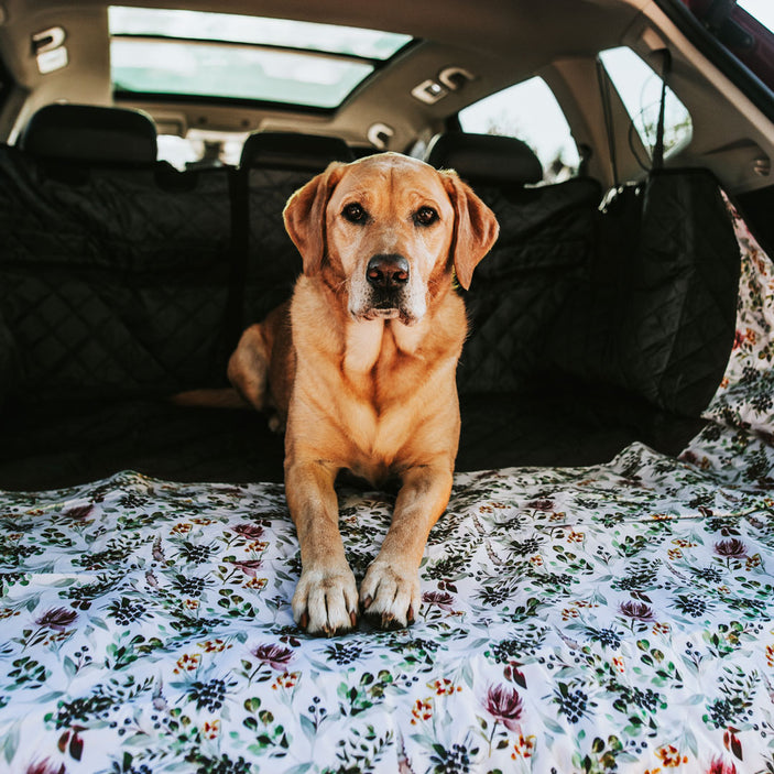 Evergreen Car Boot Cover with Drawstring Bag