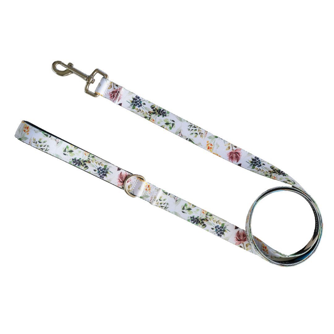 Evergreen Leash - Evergreen