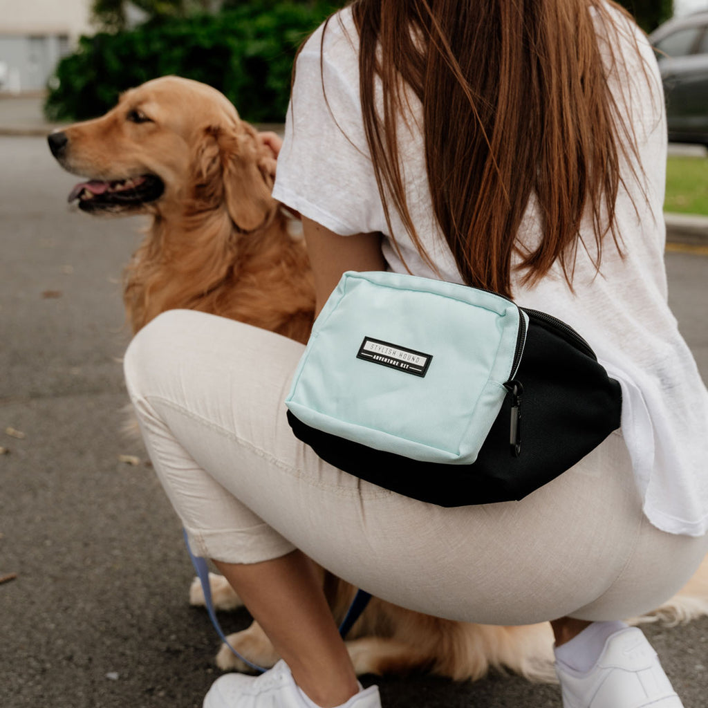 Baby Blue Express Pouch - Baby Blue