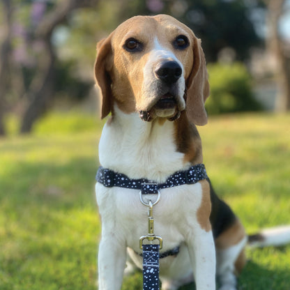 Jackson OG No-Pull Training Harness - Jackson