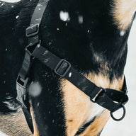 Blackout RNT No-Pull Training Harness