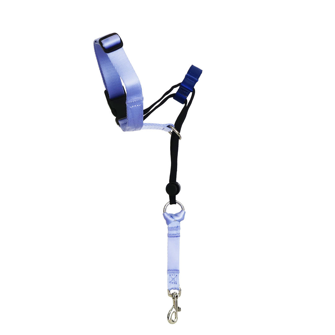 Halter + Safety Clip