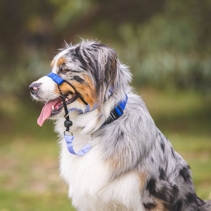 Horizon Halter - Horizon