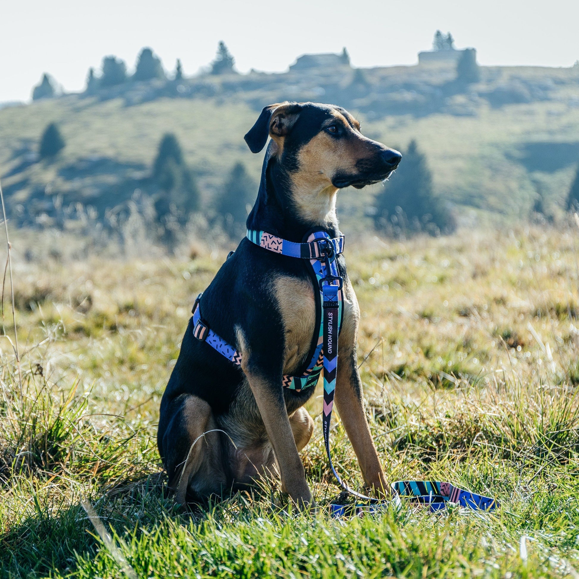 Gumball Chest Plate - Gumball
