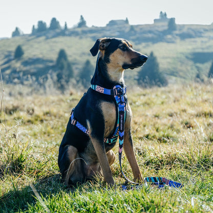 Gumball Chest Plate - Gumball