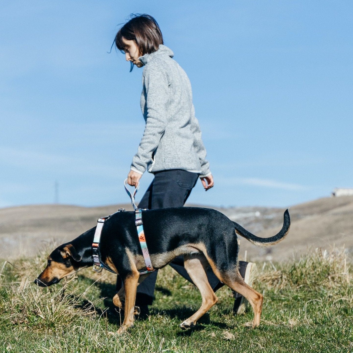 Newtown Explorer Chest Plate - Newtown
