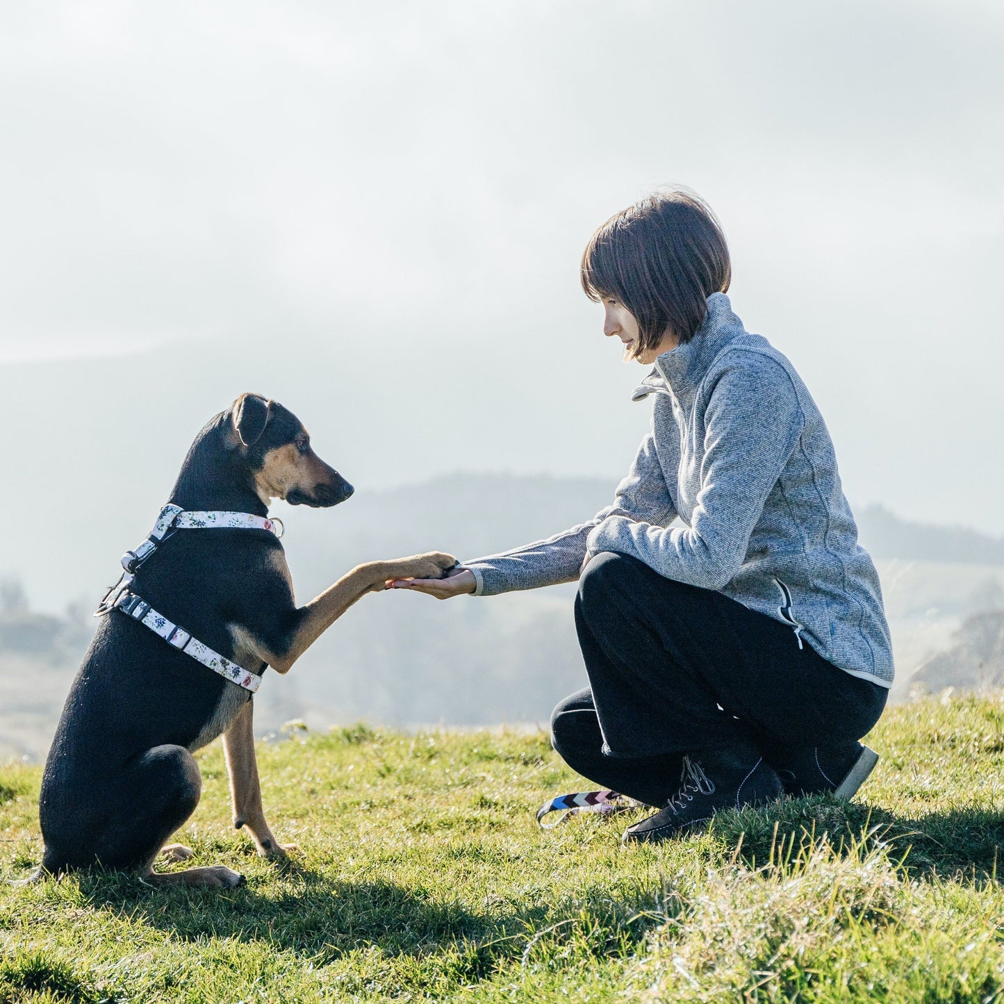 Evergreen Explorer Chest Plate - Evergreen
