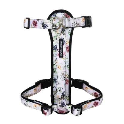 Evergreen Explorer Chest Plate - Evergreen