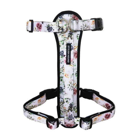 Evergreen Explorer Chest Plate - Evergreen