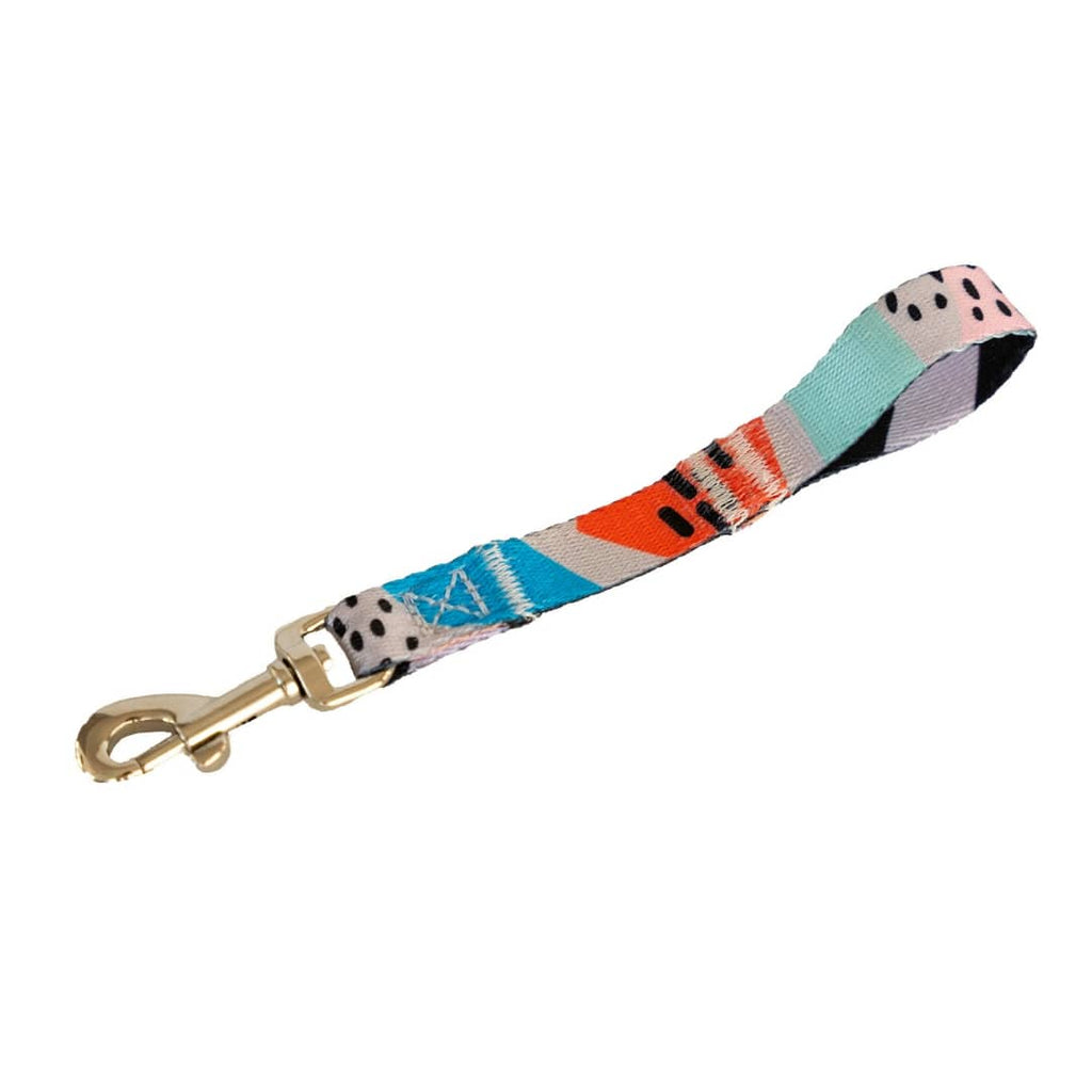 Newtown Safety Clip