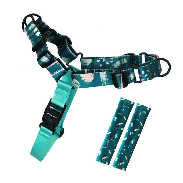 nova-rnt-no-pull-training-harness-with-padded-buddy