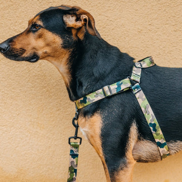 On Duty  OG No-Pull Training Harness