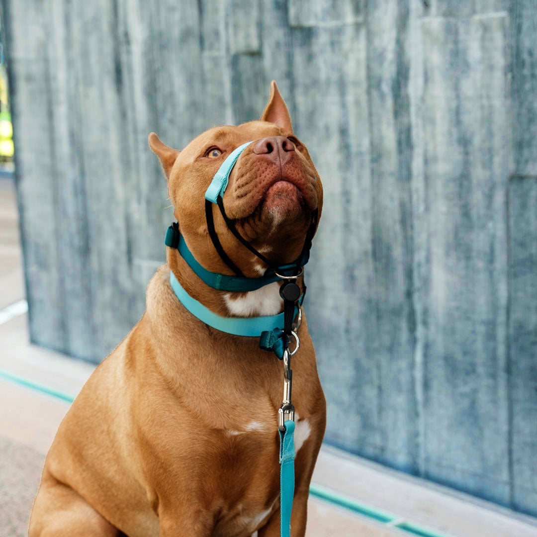 Quartz Halter - Quartz