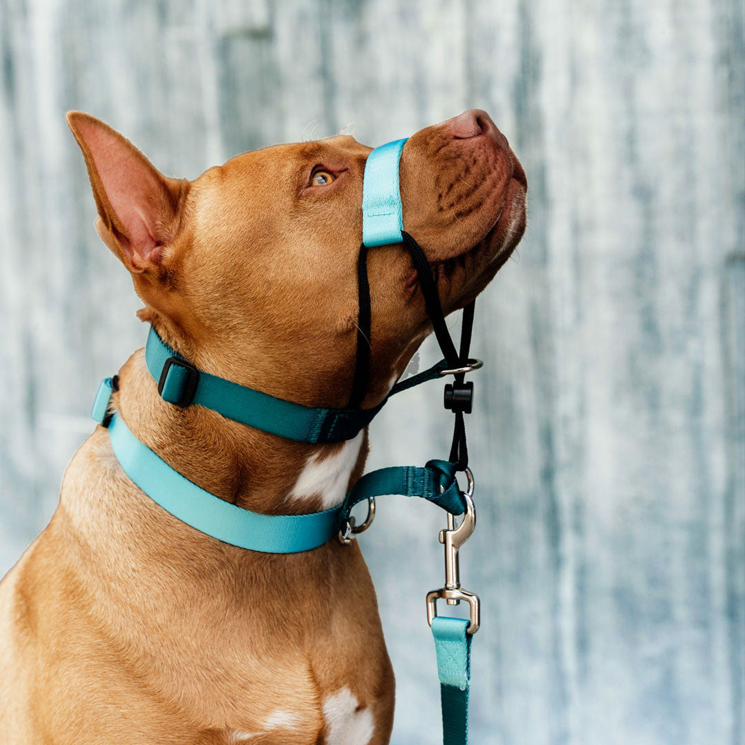Quartz Halter - Quartz