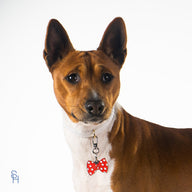 Dotted Bowtie Red Charm - stylish-hound.com