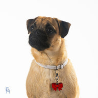 Bow Red Charm - stylish-hound.com