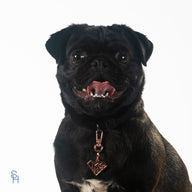 It's Super Dog! Rose Gold Charm - stylish-hound.com