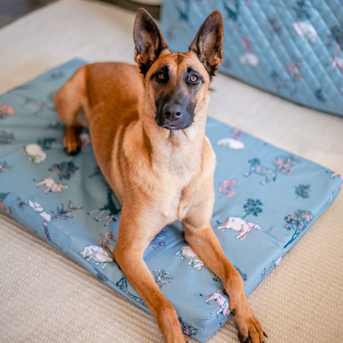new-safari-crate-mattress-cover