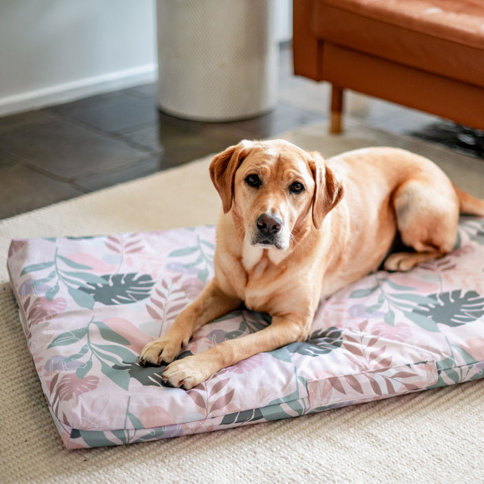 botanica-mattress-cover