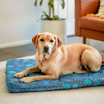 Geo Mattress & Cover