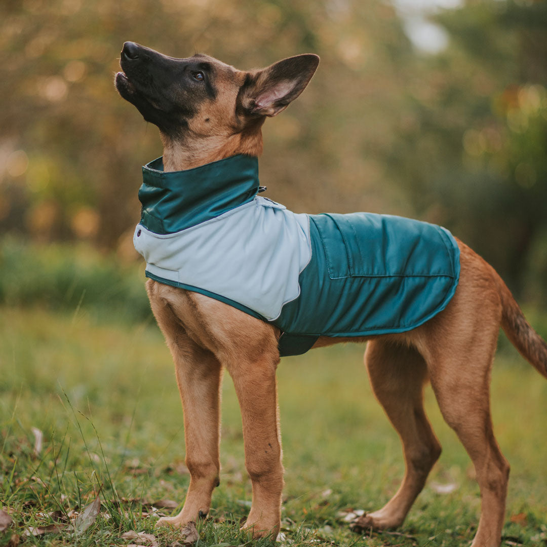 Reversible Raincoat Puffer