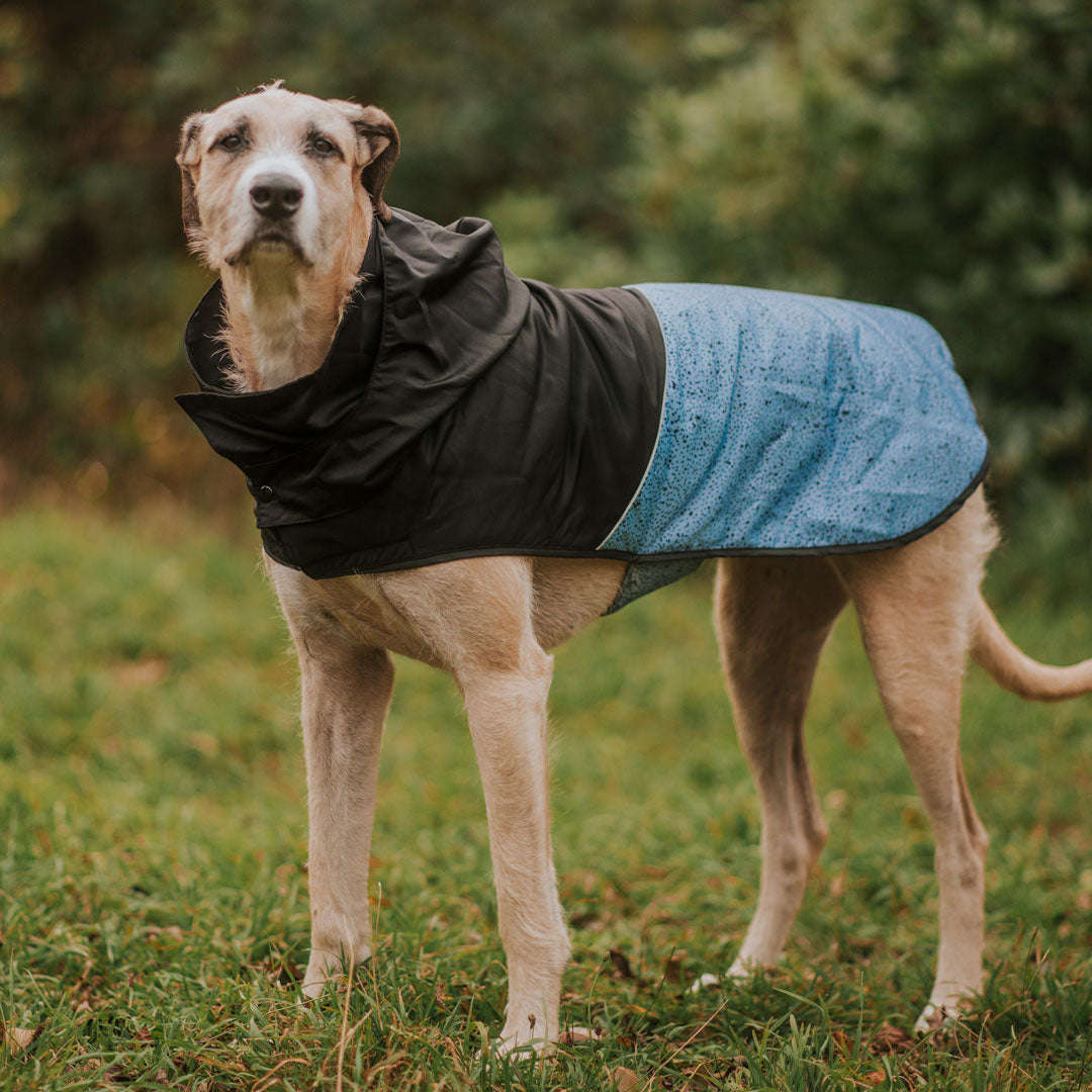 Reversible Raincoat Puffer