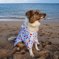 Summer Zest Dog Robe