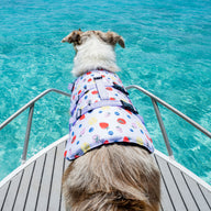 Summer Zest Dog Swim Jacket