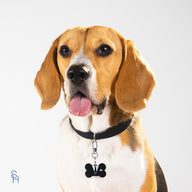Tuxedo Charm - stylish-hound.com