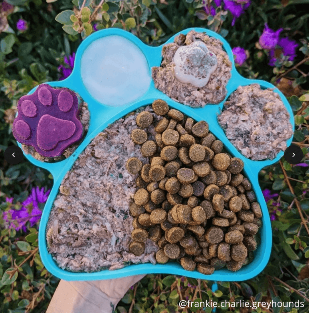 2in1 Lick Bowl Slow Feeder